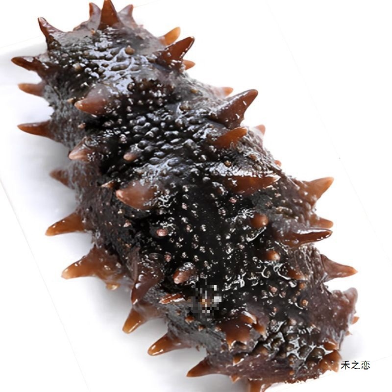 Готовый к употреблению морской огурец Далянь, морской огурец с женьшенем, оптовая подарочная коробка, тоник, смешанная партия, AliExpress