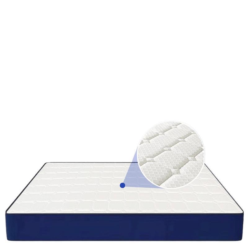 Blue Memory Foam Box Simmons Mattress Roll-Packed Spring Compressed Vacuum Latex Thickeneded Soft Cushion Soft and Hard Dual-Use