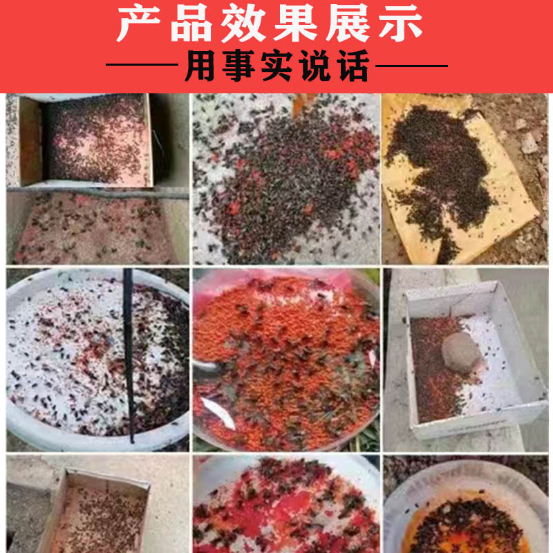Chicken Brand Fly Killer Fly Medicine Manufacturer Fly Killer Bait Agent Fly Killer Fly Bait Agent Farm Full Box Indoor and Outdoor