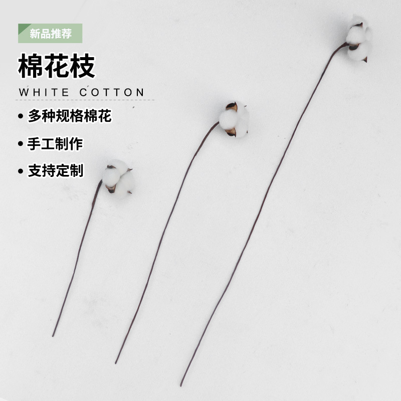 White Single Iron Cotton Immortal Flower Natural Artificial 4025 Cotton Decoration DIY Cotton Dried Flower Wholesale