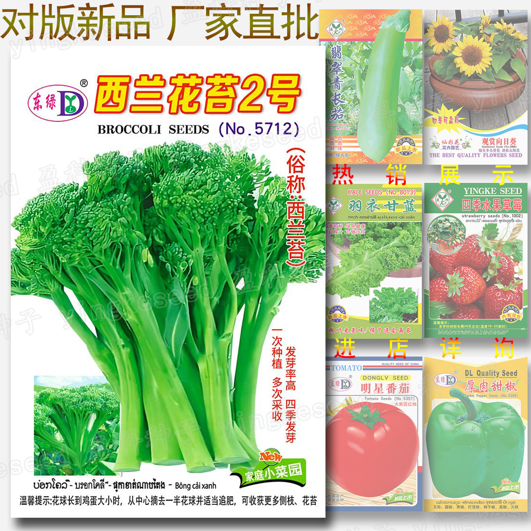 Broccoli Moss No. 2 Seeds, about 300 Broccoli Small Broccoli Cabbage Broccoli Vegetable Seeds Batch