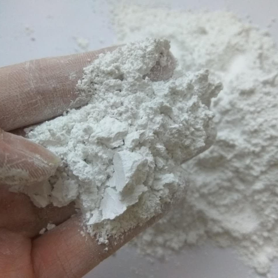 The Manufacturer Supplies Aquaculture Dolomite 325-2000 Mesh Dolomite Powder for Fish and Shrimp Culture to Regulate Water Quality