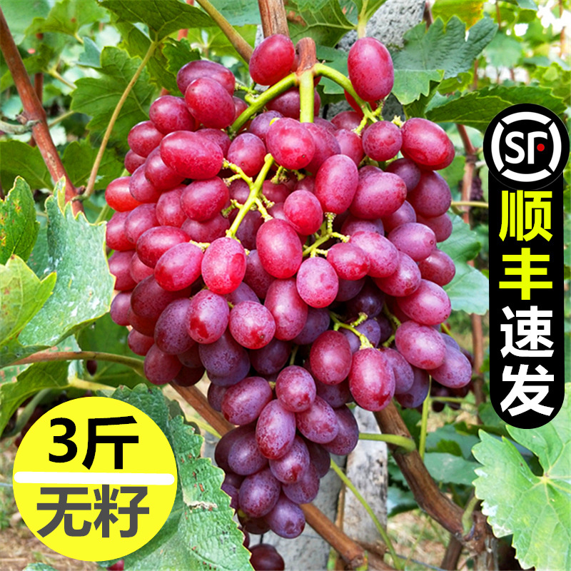 1.50кг Безкосточковые виноград Карен Шенг свежие для беременных красные в упаковке без Джуфэнг с доставкой