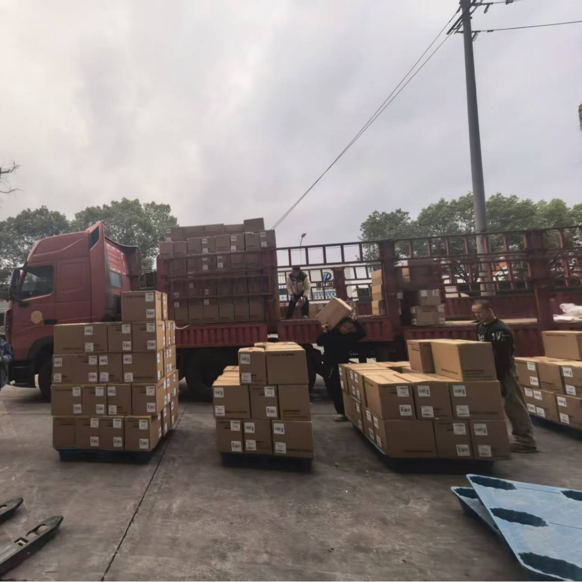 American International Logistics Cross-Border E-Commerce Full Container Bulk Goods Small Packages Ddp Overseas Warehouse Amazon, Tiktok, Shein