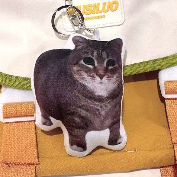 oiiaioooooiai Cat Expression Pack Voice Pendant Kitten Voice Doll Funny Pet Keychain Decompression