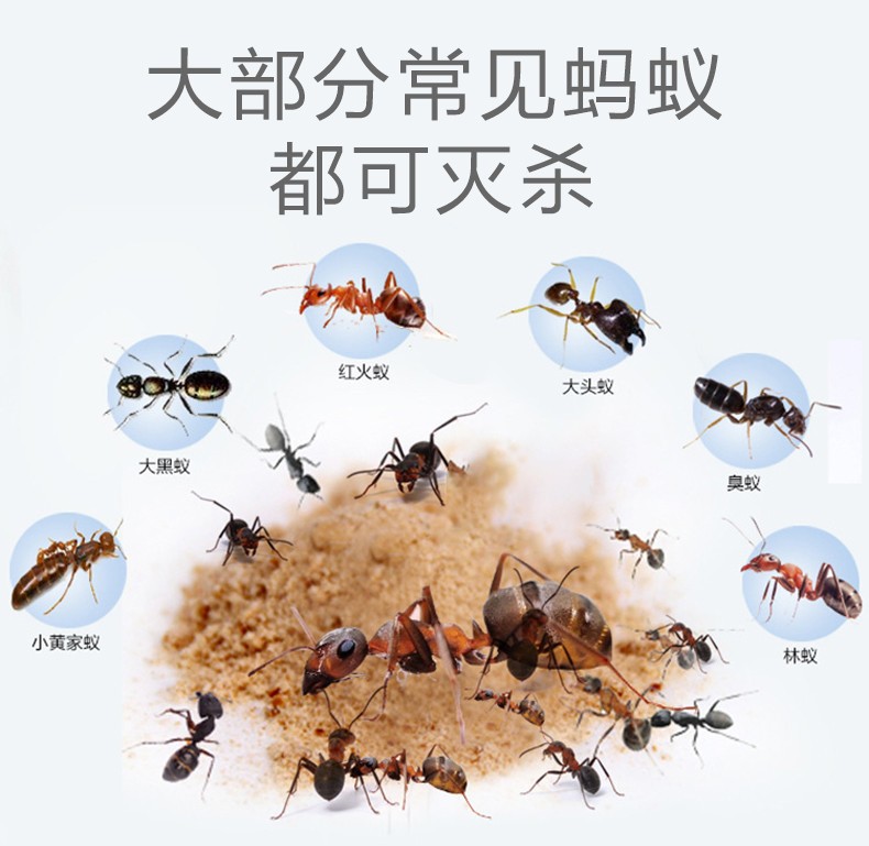 Kunning Wang Ant Medicine Household Non-Toxic Red and Yellow Ant Killer Outdoor Indoor Ant Killer Bait