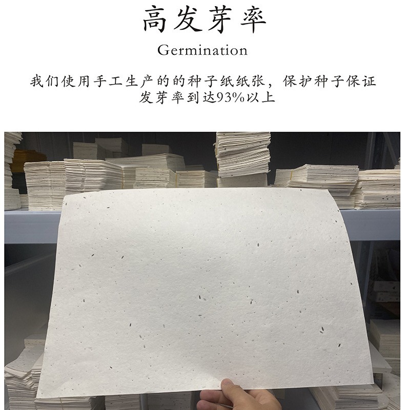 Seed Paper, Germination Paper, Ticket Paper, Paper Cards, Calendar, Art Paper, Specialty Paper