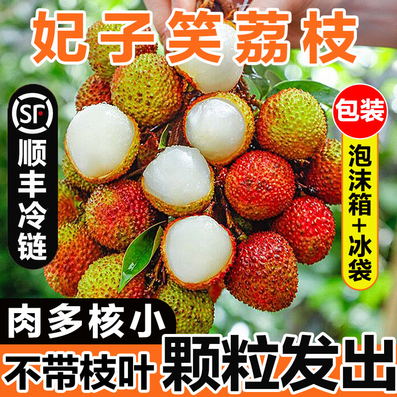 Личи Фейцзисяо, свежесобранные сезонные фрукты, оптовая продажа