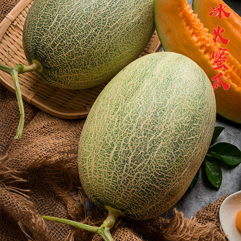 Xinjiang Cantaloupe, Crispy, Sweet and Juicy Fresh Fruit, Xizhou Honey Melon, Whole Piece, Free Shipping, Xizhou Honey, One Piece Drop Shipping