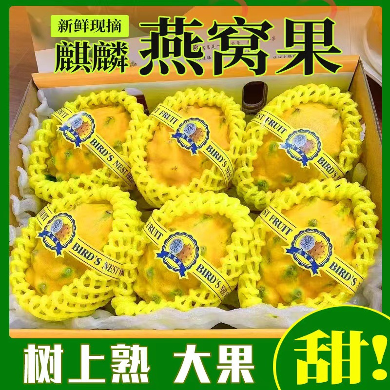 Hainan Bird's Nest Fruit 3//4/ 2.5kg Kirin Fruit Dragon Fruit Sf Express Free Shipping One-Piece Dropshipping Golden Kirin