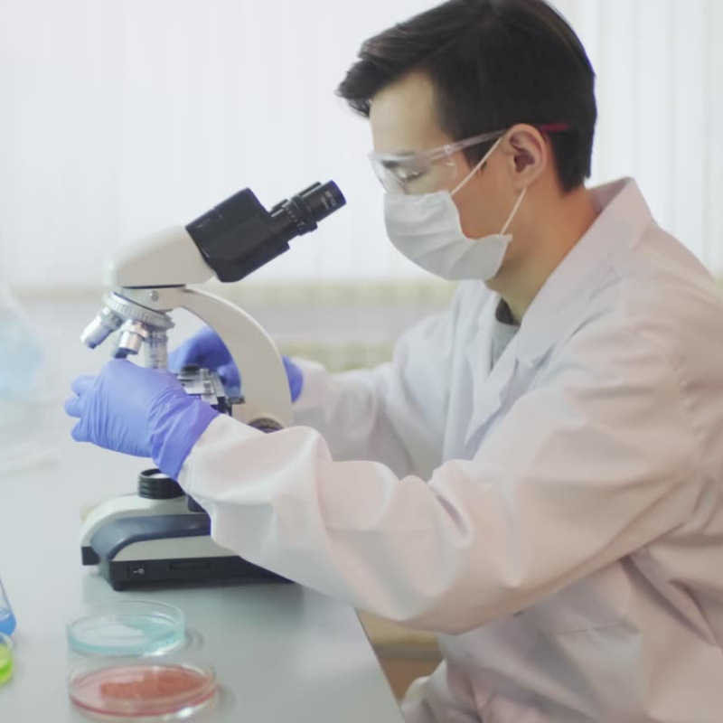 6-Chloropurine Factory Direct Supply Industrial Grade Analytical Grade Satisfactory Service 99% Content Shandong Shanghai Zhejiang