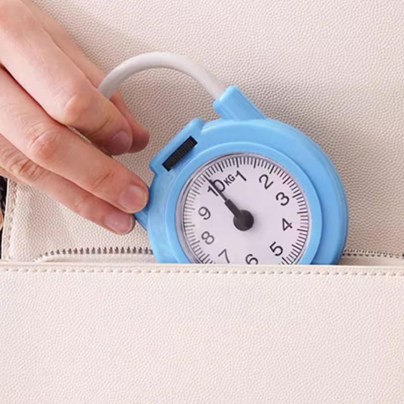 Portable Spring Scale, Multifunctional and Convenient Small Scale, Digital Scale, Household Express Small Portable Scale with Hook Scale