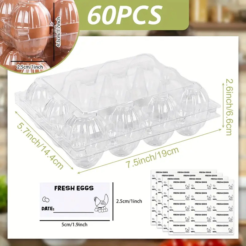 2025 Amazon Hot-Selling Multiple-Pack Household Transparent Plastic Egg Containers Reusable Egg Mop Wholesale