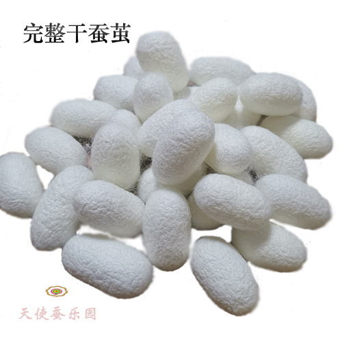 Полный натуральный кокон, арт-кокон, белый кокон, цветной кокон, высушенный кокон, живой кокон, чистый и высокого качества