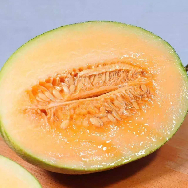 Authentic Xinjiang Hami Melon, Western Melon, Turpan Net Melon, Fresh Fruit, Seasonal Whole Box