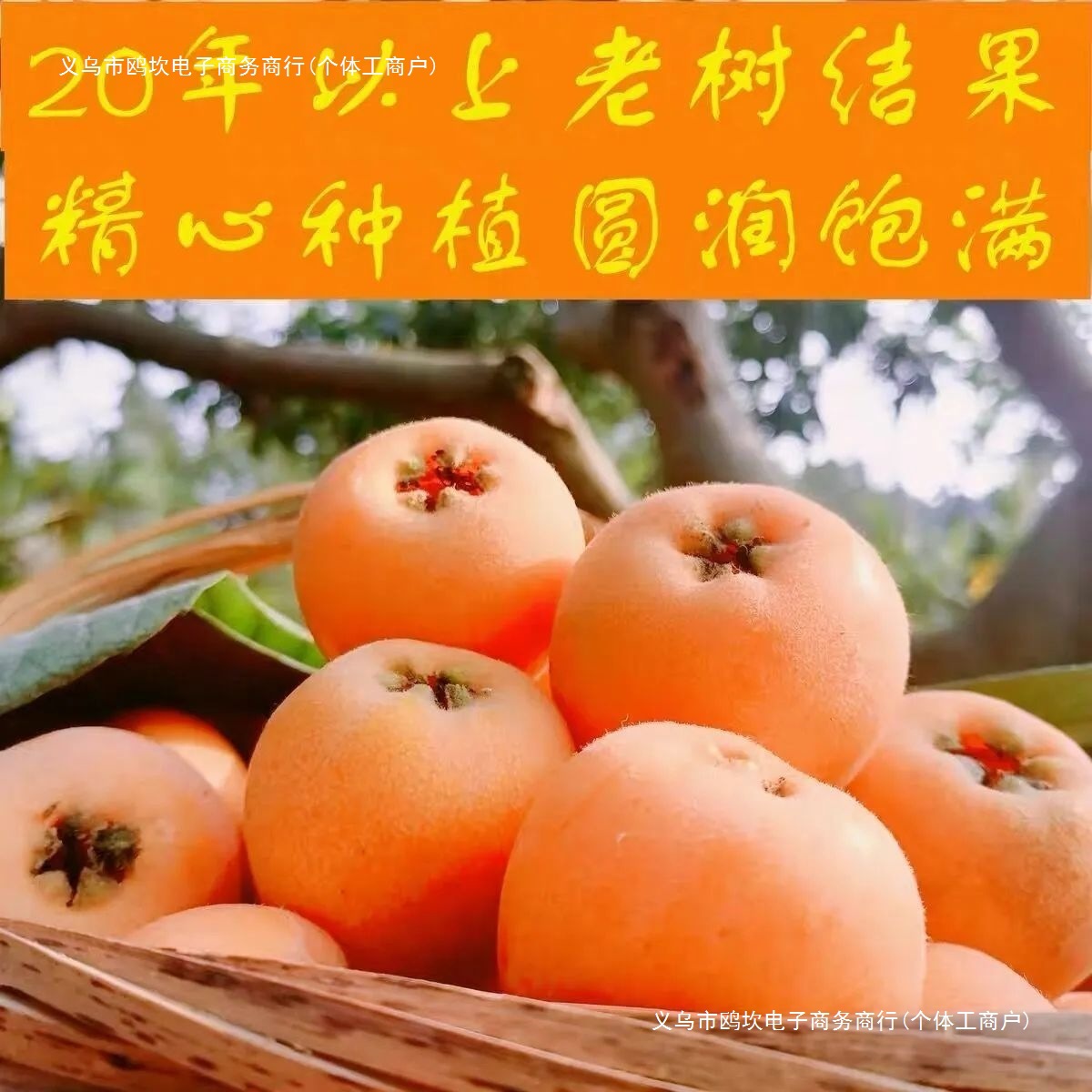 Sichuan Da Wuxing Loquat, Fresh Loquat Fruit from the Mountains, Seasonal Fruit, Whole Box of Dahongpao Loquats, Others Not Available
