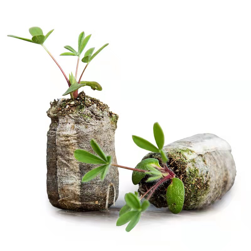 Direct selling 3cm-5cm seedling block nutrition block compression soil domestic Jiefei matrix block sowing seedling vegetables and fruits