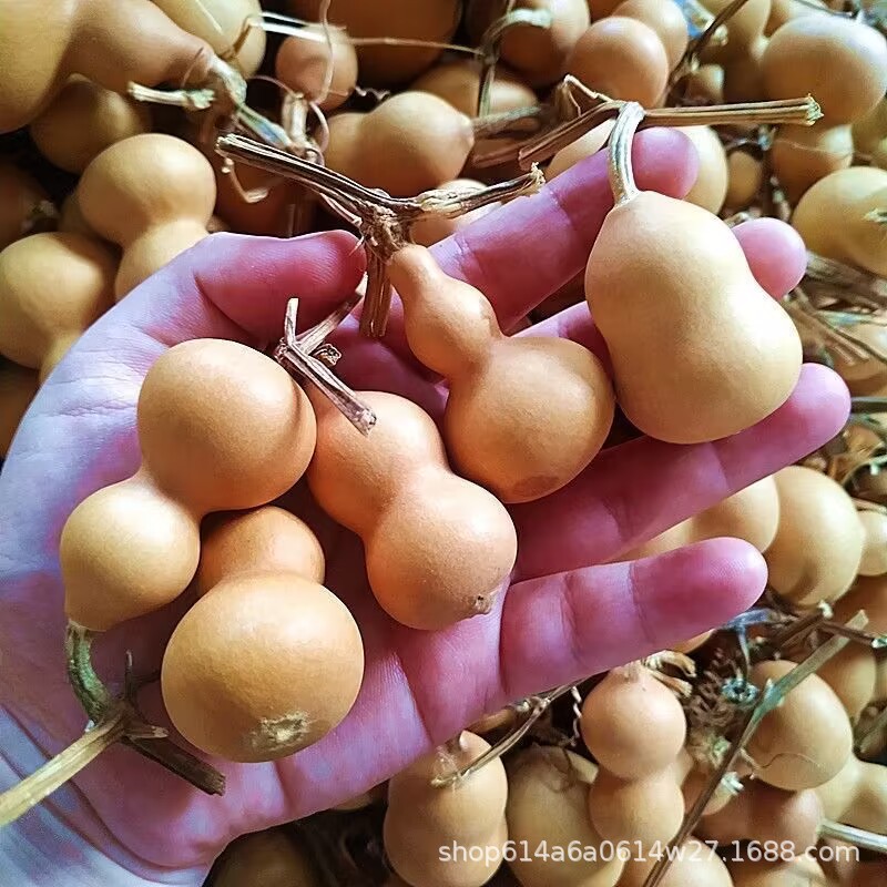 Natural gourd small American hand twist gourd Wen play play small gourd gourd crafts wholesale