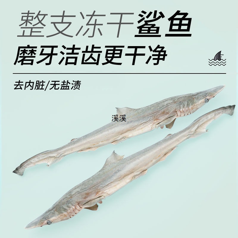 Freeze-Dried Shark Pet Snacks for Dogs, Teeth Grinding, Deodorizing, Bite-Resistant, Teeth Cleaning, Calcium Supplement, Cartilage, Salt-Free, Cats, Large, Medium and Small Size Dogss