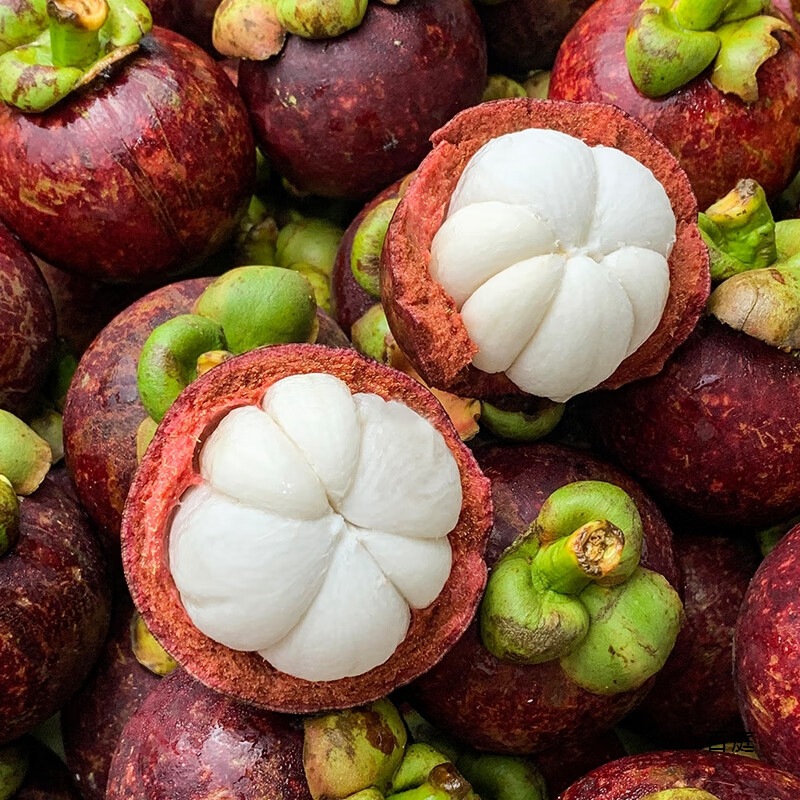 [Sf Free Shipping] Thailand Imported Mangosteen Fresh Old Tree Mangosteen 5/6A Large Fruit 1.5kg Qisha Bamboo Others