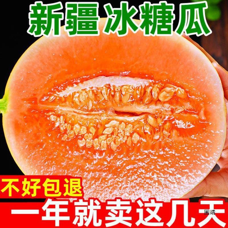Sweet and Juicy Gansu Minqin Honeydew Desert Yellow River Honey Fruit Fresh Cantaloupe Seasonal Fragrant Melon