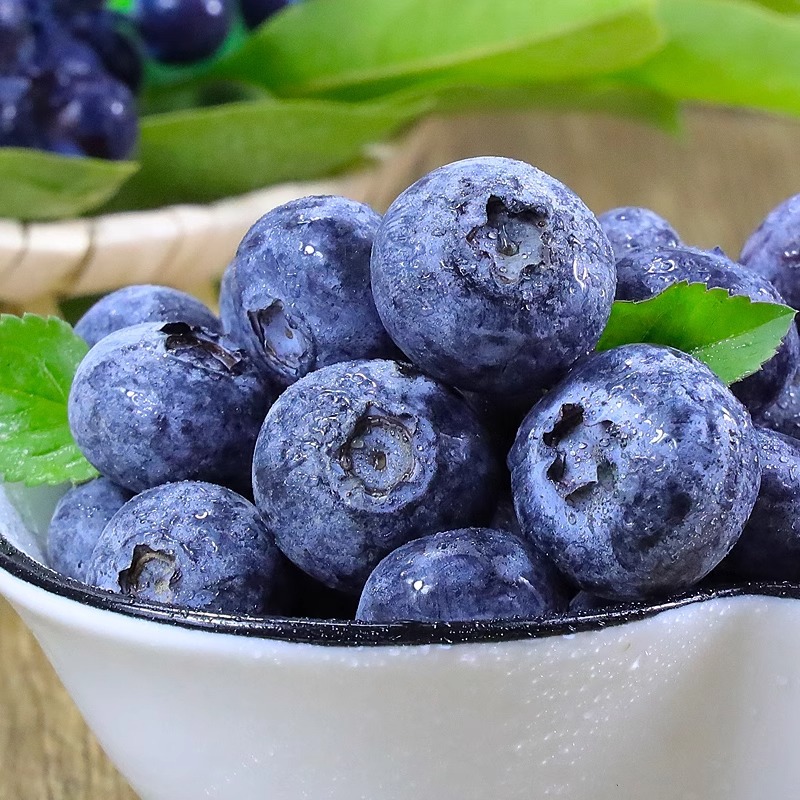 Yunnan Blueberry Fresh Seasonal Fruit Blue Plum Fresh Fruit Alpine Sweet Blueberry 8 Large Fruit Wholesale One Piece Dropshipping