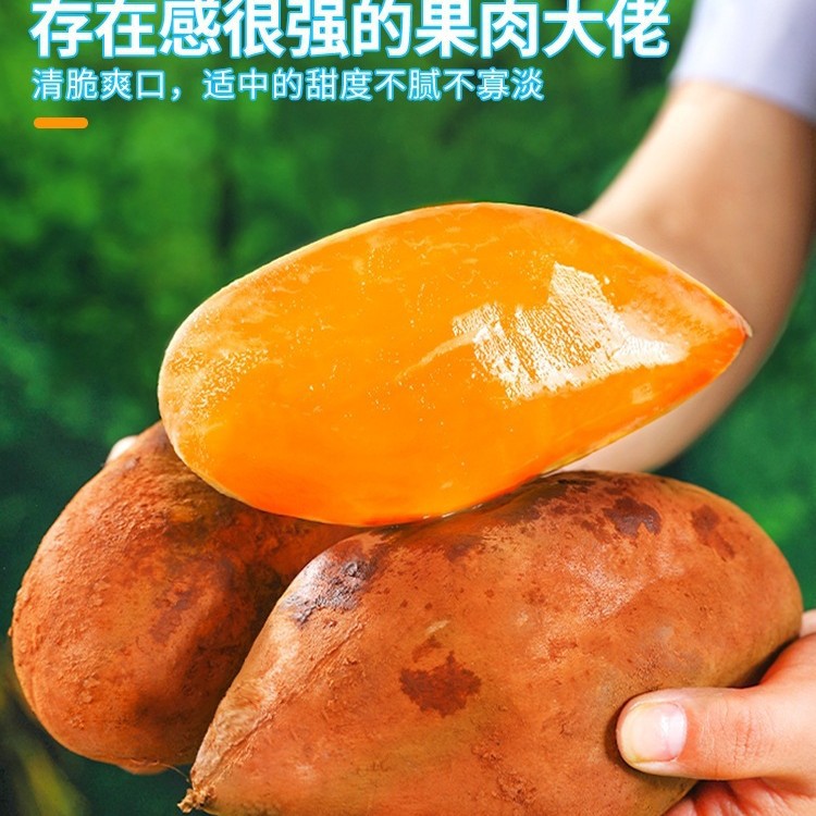 Tianshan Snow Lotus Fruit 6kg Fresh Fruit in Season Yunnan Pregnant Women Red Heart Snow Lotus Fruit Yellow Heart Whole Box Direct Sales