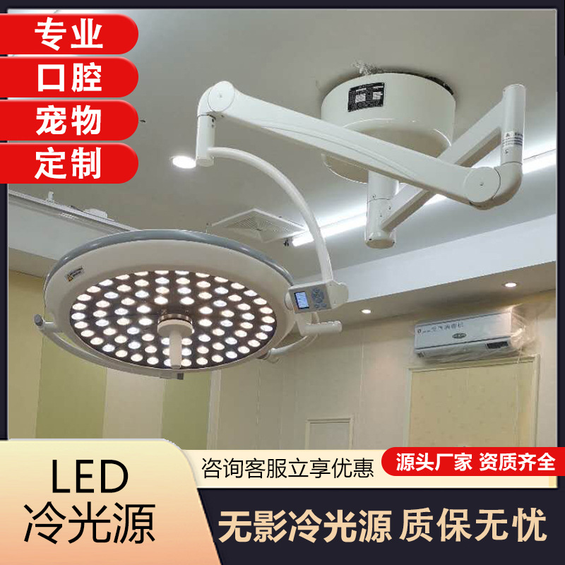 Led Shadowless Lamp Double-Headed Hanging Cold Light Inspection Lamp External Camera Gynecological Oral Pet Wholesale Shadowless Lamp