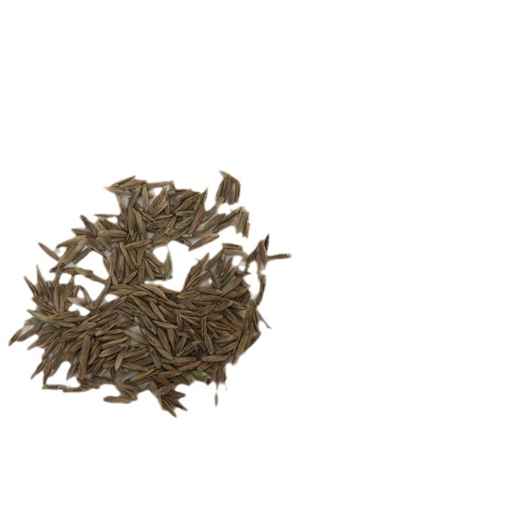 Annual Ryegrass Seeds for Pasture, Tetraploid Blue Label Perennial Lawn-Type Seeds for Re-Greening and Slope Protection