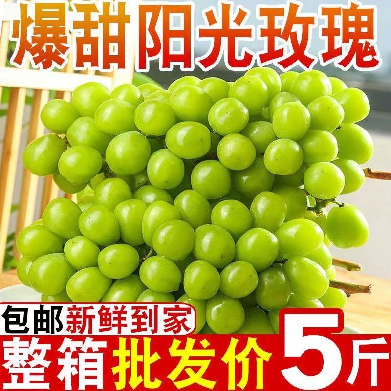 Sunshine Rose 3/ 2.5kg Whole Bunch of Clear Seedless Grapes Fresh Fruit