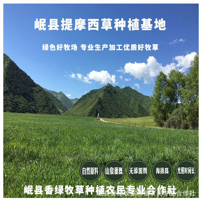 2025 New Timothy Grass First Harvest Tender Grass Boxed Grass Segments Northern Pasture Grass Rabbit Hay Available for Wholesale Pet Chinchilla