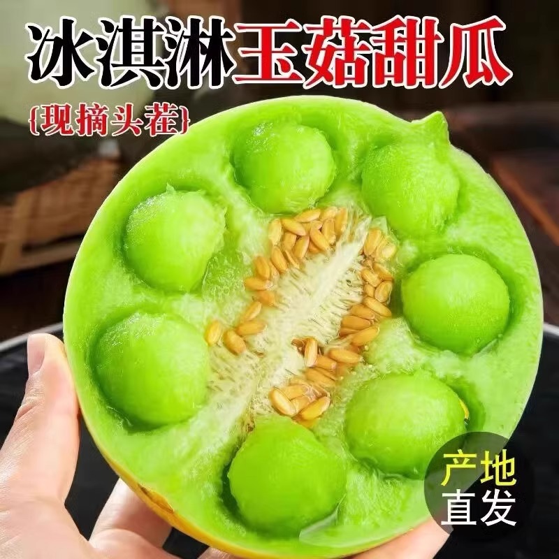 Hainan Jade Mushroom Melon Seasonal Fresh Fruit Ice Cream Melon Soft Glutinous Sweet White Melon Thin Skin Emerald