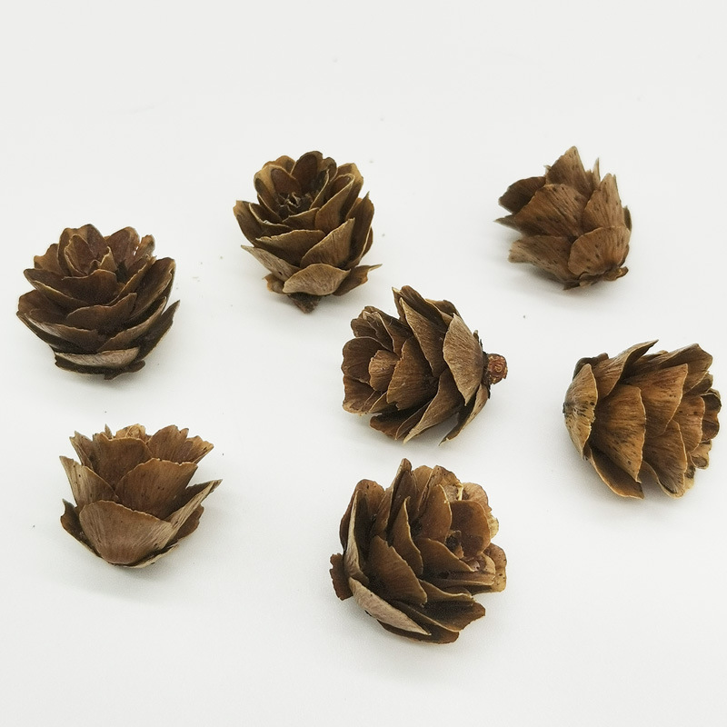 Mini Pine Flowers, Small Fallen Leaves, Pine Flowers, Pine Nuts, 1-2cm Pine Nuts, DIY Raw Materials, Christmas Decorations, Manufacturer Wholesale