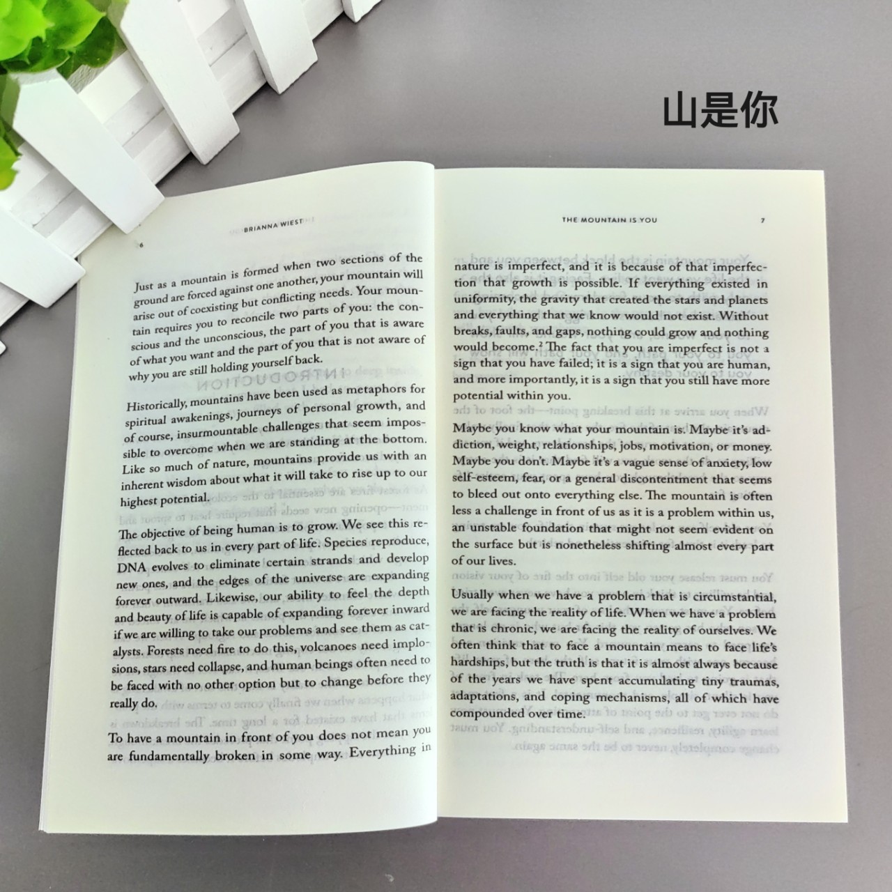 The Mountain Is You the Mountain Is You Self Transformation English Version