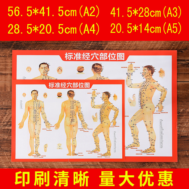 Схема акупунктуры, схема меридианов, схема человеческого тела, фабрика производит десять тысяч схем здоровья в день, настенная схема, схема меридианов и акупунктурных точек