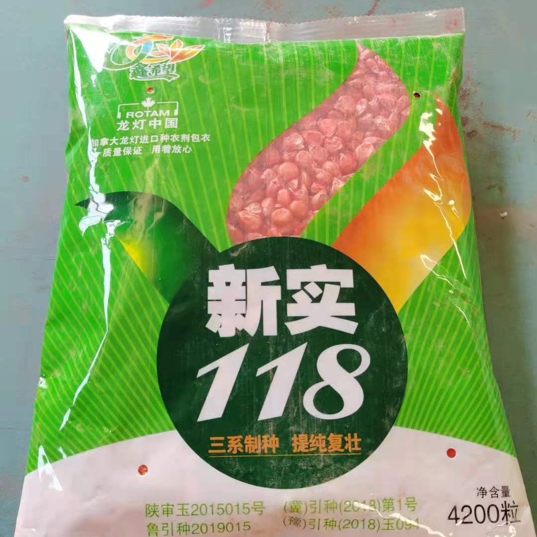 White Axis New Real 118 Corn Seeds Common Agricultural Miscellaneous