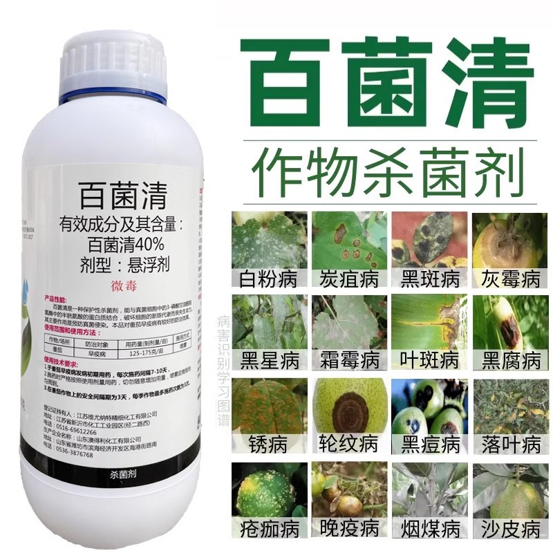 40% хлороталонил, фунгицид, мучнистая роса, антракноз, пятнистость листьев, ранняя гниль, универсальный пестицид для фруктовых деревьев и овощей