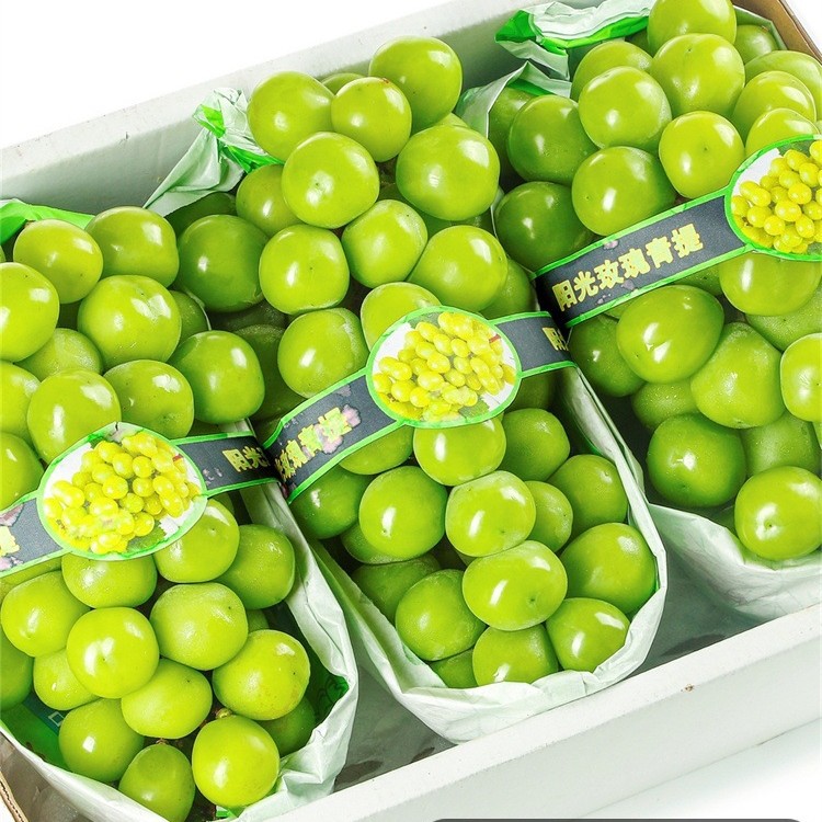 Hot Selling Spot Sunshine Rose Grape Fresh Fruit 2.5kg Gift Box Qingwang Seedless Fragrant Seal Green Ti Seasonal Whole Box