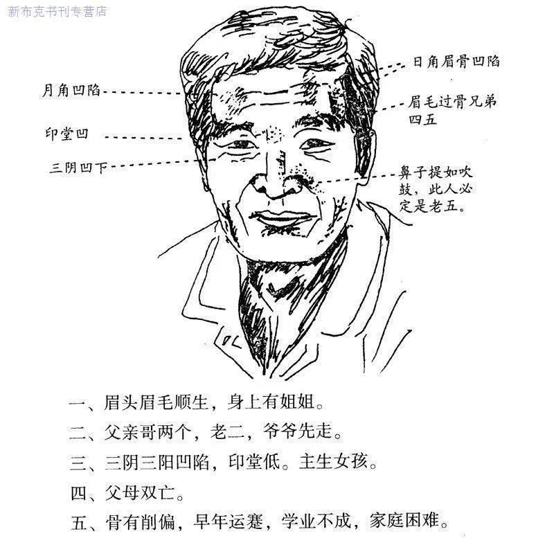 Graphic Layout Set 32k Practical Learning Materials at Home