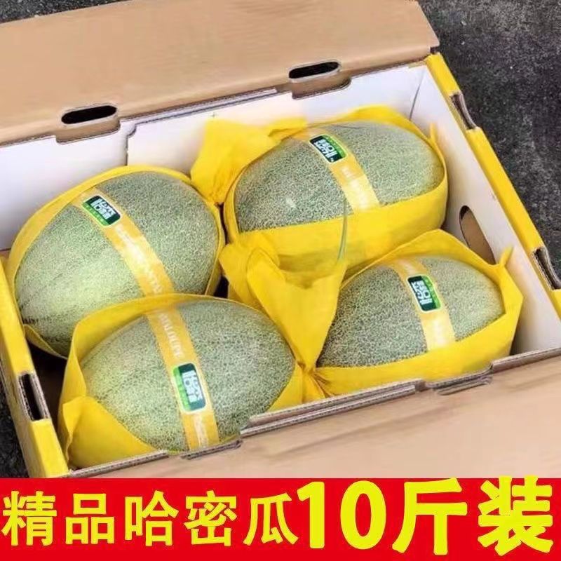 Hami Melon Xinjiang Sweet Thin-Skinned Xinjiang Cantaloupe Direct Delivery Free Shipping a Whole Box Gift Box Wholesale Special Price Free Shipping