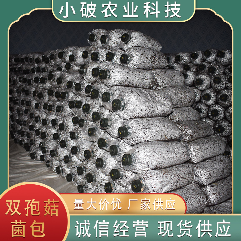 The Own Base of the Double-Spored Mushroom Planting Strains Is Also Using High-Quality Edible Mushroom Strains