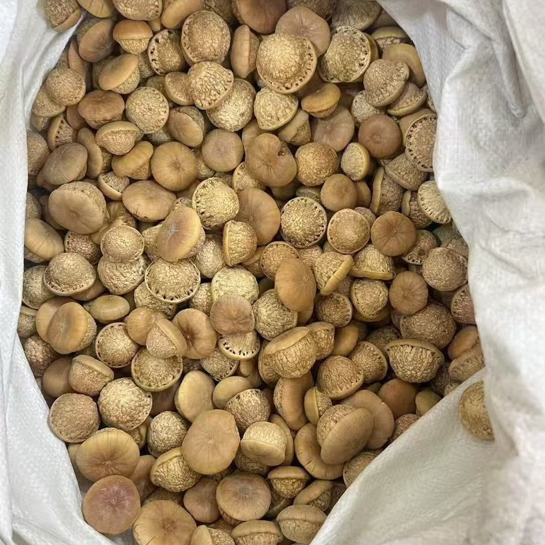 Wholesale Turtle Head, Tianzhu Seeds, Turtle Head, Fengliu Fruit, New Arrivals, Street Stall Supply, Soaked in Wine and Powdered