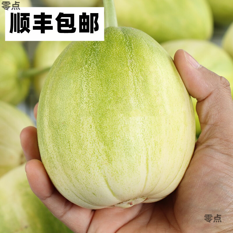 Fresh Seasonal Northeast Melon, Freshly Picked Sweet and Crisp Melon, White Sugar Canned Thin-Skinned Jingmi Cross-Border