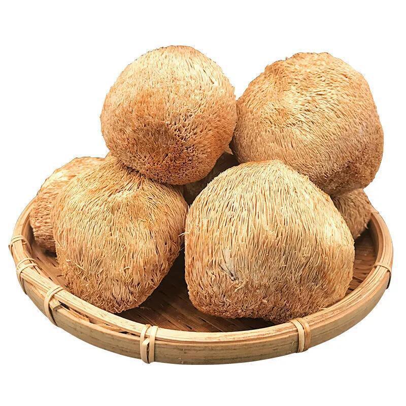 Northeastern Changbai Mountain Specialty Dried Hericium Mushrooms 500g Rootless Bulk Wholesale Food New Stock Fungus Black Fungus Commercial Use