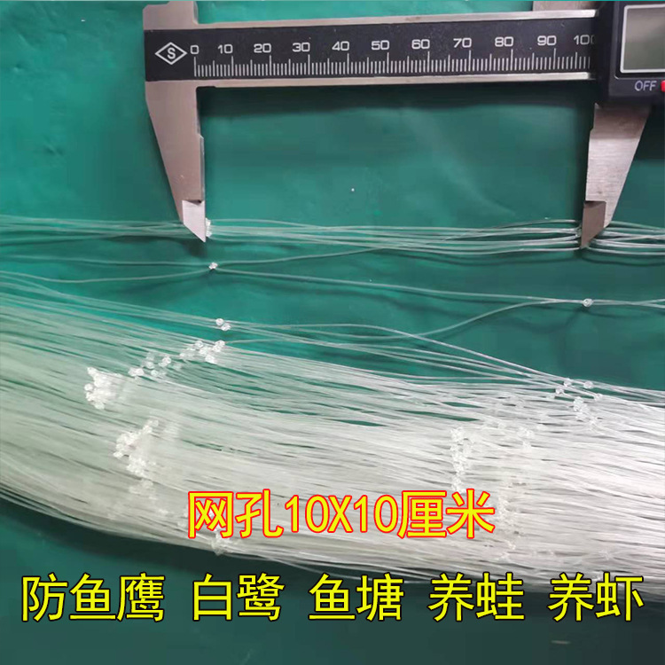 10cm mesh anti-bird net fish pond breeding frog shrimp anti-egret fish eagle Skynet Orchard anti-Big Bird Net