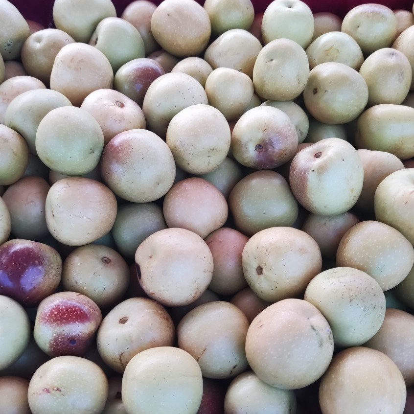 Shaanxi Dali Winter Jujube, 2/ 2kg Gift Box, Seasonal Crispy Jujube, Fresh Crispy Sweet Green Jujube, Red Jujube, Fruit for Pregnant Women