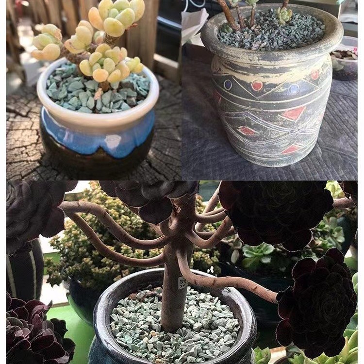 Zeolite Granular Filter Media Manufacturer Wholesale Zeolite Powder for Succulent Planting, Surface Purification, Water Quality Improvement, and Wastewater Treatment