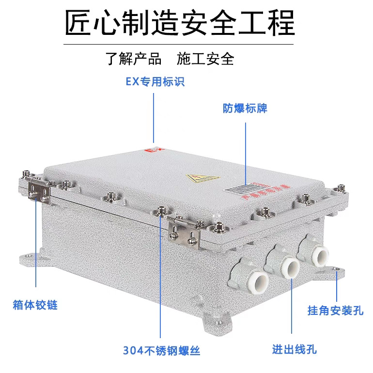 Explosion-Proof Distribution Box, Explosion-Proof Control Box, Explosion-Proof Positive Pressure Cabinet, Explosion-Proof Box, Explosion-Proof Instrument Lighting Wiring Switch Power Supply