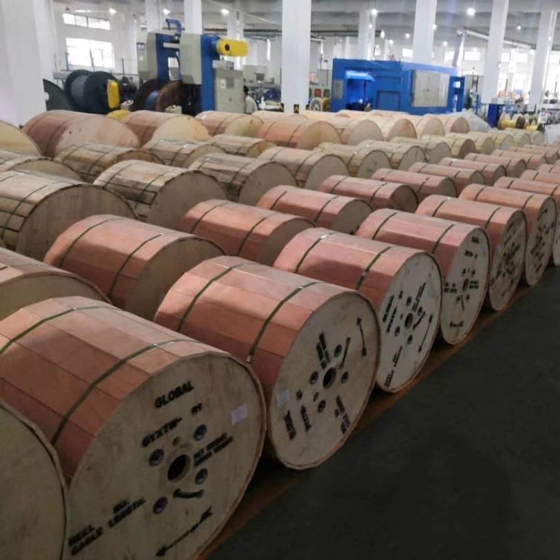 4-Core, 6-Core, 8-Core, 12-Core, 24-Core, 48-Core, 96-Core, 144-Core, 288-Core Single-Mode Armored Fiber Optic Cable for Outdoor Use