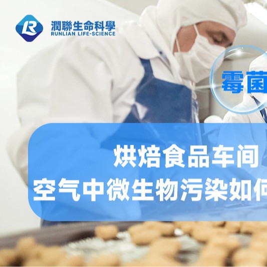 Bread Bakery Workshop Replaces Ultraviolet Ozone to Effectively Kill Mold and Clean the Air Throughout the Day for Human-Machine Coexistence